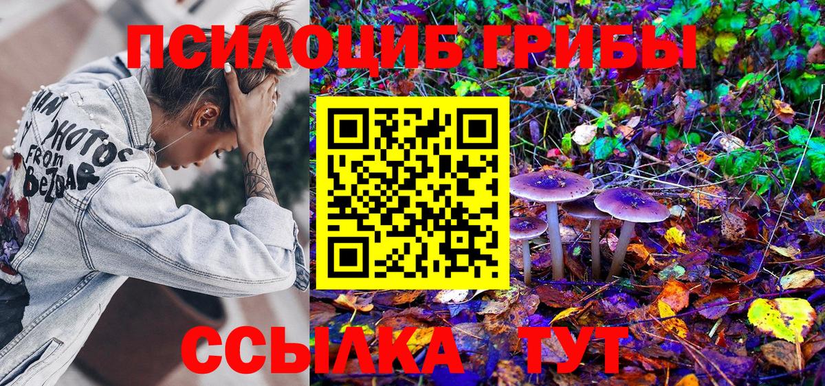 Псилоцибиновые грибы GOLDEN TEACHER Белгород